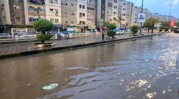 الأرصاد تحذر من أمطار رعدية ورياح نشطة تضرب مناطق متفرقة في اليمن